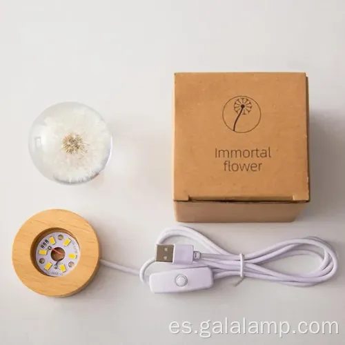 Luz eterna de la noche de flores